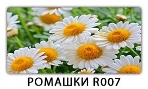 Стол раздвижной Трилогия с фотопечатью Доска D111 в Камышлове - kamyshlov.mebel24.online | фото 15