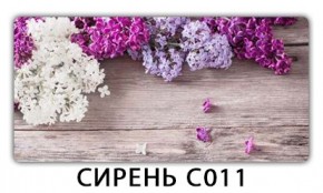 Стол раздвижной Трилогия с фотопечатью Доска D111 в Камышлове - kamyshlov.mebel24.online | фото 16