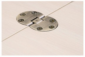 Стол-трансформер Престиж в Камышлове - kamyshlov.mebel24.online | фото 10