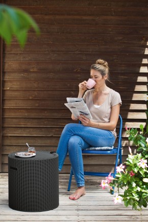 Столик-холодильник Кул-Стул (Cool stool) коричневый в Камышлове - kamyshlov.mebel24.online | фото 2