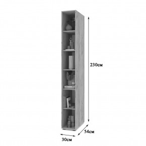 СТОУН С10 Пенал-стеллаж (дуб серый) в Камышлове - kamyshlov.mebel24.online | фото 2