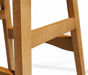 Стул обеденный SHT-ST29/S65-1 в Камышлове - kamyshlov.mebel24.online | фото 5