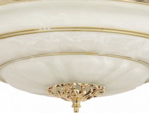 Светильник на штанге Arti Lampadari Pavia Pavia E 1.13.P40 G в Камышлове - kamyshlov.mebel24.online | фото 3