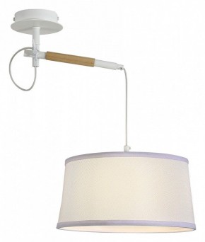 Светильник на штанге F-promo Eureka 3005-1P в Камышлове - kamyshlov.mebel24.online | фото 4