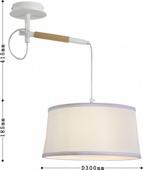 Светильник на штанге F-promo Eureka 3005-1P в Камышлове - kamyshlov.mebel24.online | фото 5