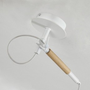 Светильник на штанге F-promo Eureka 3005-1P в Камышлове - kamyshlov.mebel24.online | фото 8