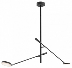 Светильник на штанге Maytoni Fad MOD070CL-L15B3K1 в Камышлове - kamyshlov.mebel24.online | фото