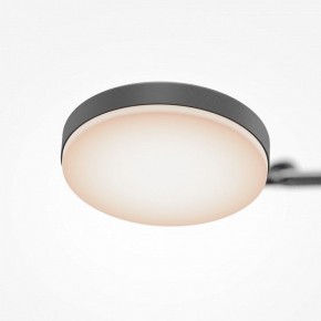 Светильник на штанге Maytoni Fad MOD070CL-L15B3K1 в Камышлове - kamyshlov.mebel24.online | фото 7