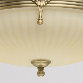 Светильник на штанге MW-Light Афродита 1 317011504 в Камышлове - kamyshlov.mebel24.online | фото 4