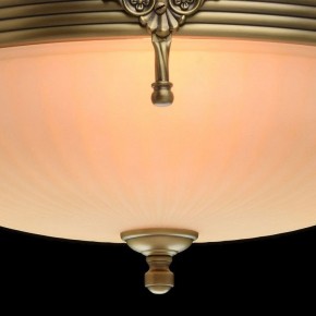 Светильник на штанге MW-Light Афродита 1 317011504 в Камышлове - kamyshlov.mebel24.online | фото 5
