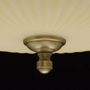 Светильник на штанге MW-Light Афродита 1 317011504 в Камышлове - kamyshlov.mebel24.online | фото 9
