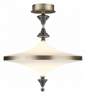 Светильник на штанге Odeon Light Ula 5404/43CL в Камышлове - kamyshlov.mebel24.online | фото 2