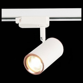 Светильник на штанге ST-Luce Cromi ST301.526.01 в Камышлове - kamyshlov.mebel24.online | фото 6