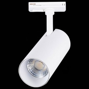 Светильник на штанге ST-Luce Mono ST350.536.20.36 в Камышлове - kamyshlov.mebel24.online | фото 6