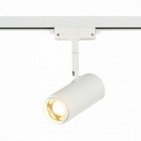 Светильник на штанге ST-Luce Zoom ST600.536.12 в Камышлове - kamyshlov.mebel24.online | фото 2