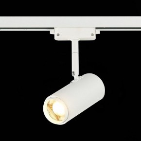 Светильник на штанге ST-Luce Zoom ST600.536.12 в Камышлове - kamyshlov.mebel24.online | фото 4
