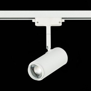 Светильник на штанге ST-Luce Zoom ST600.546.12 в Камышлове - kamyshlov.mebel24.online | фото 5