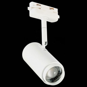 Светильник на штанге ST-Luce Zoom ST600.546.12 в Камышлове - kamyshlov.mebel24.online | фото 6