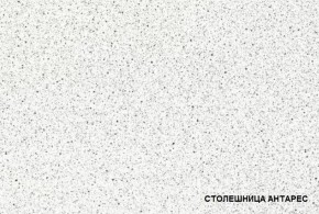 ТЕХНО-5 Кухонный гарнитур угловой 3,2*2,24 м в Камышлове - kamyshlov.mebel24.online | фото 3