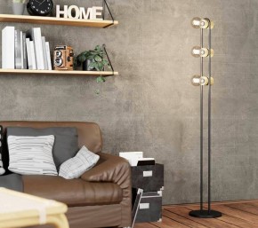 Торшер Eglo ПРОМО Chieveley 43544 в Камышлове - kamyshlov.mebel24.online | фото 2