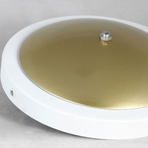 Торшер Lussole LSP-062 LSP-0625 в Камышлове - kamyshlov.mebel24.online | фото 2