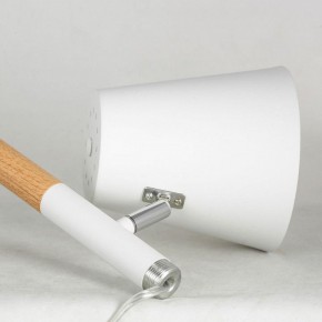 Торшер Lussole Buckeye LSP-0628 в Камышлове - kamyshlov.mebel24.online | фото 4