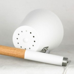 Торшер Lussole Buckeye LSP-0628 в Камышлове - kamyshlov.mebel24.online | фото 5