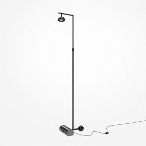 Торшер Maytoni Pikant MOD372FL-L10B3K в Камышлове - kamyshlov.mebel24.online | фото 2