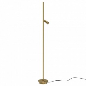 Торшер Maytoni Thin MOD395FL-L28BS3K в Камышлове - kamyshlov.mebel24.online | фото