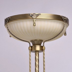 Торшер MW-Light Афродита 1 317040901 в Камышлове - kamyshlov.mebel24.online | фото 3