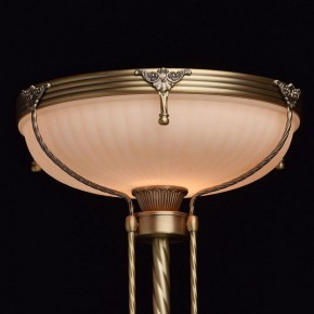Торшер MW-Light Афродита 1 317040901 в Камышлове - kamyshlov.mebel24.online | фото 4