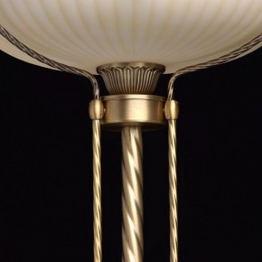 Торшер MW-Light Афродита 1 317040901 в Камышлове - kamyshlov.mebel24.online | фото 6