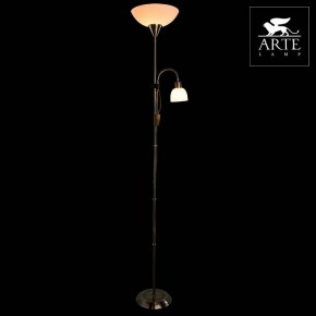 Торшер с подсветкой Arte Lamp Duetto A9569PN-2AB в Камышлове - kamyshlov.mebel24.online | фото 3