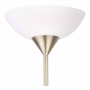 Торшер с подсветкой Arte Lamp Duetto A9569PN-2AB в Камышлове - kamyshlov.mebel24.online | фото 5