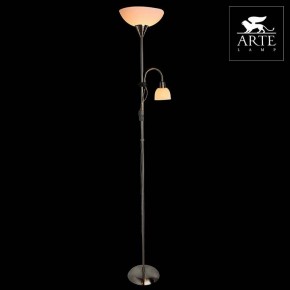 Торшер с подсветкой Arte Lamp Duetto A9569PN-2SS в Камышлове - kamyshlov.mebel24.online | фото 3