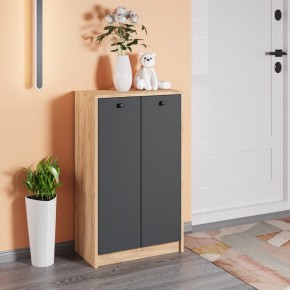 Тумба для обуви Рино в Камышлове - kamyshlov.mebel24.online | фото 3