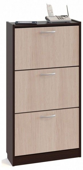 Тумба для обуви ТО-23 в Камышлове - kamyshlov.mebel24.online | фото