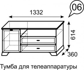 Тумба для телеаппаратуры Венеция 6 бодега в Камышлове - kamyshlov.mebel24.online | фото 3