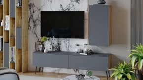 Тумба под ТВ Порто СМ-393.03.011 в Камышлове - kamyshlov.mebel24.online | фото 5