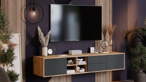 Тумба под ТВ Тип 5 в Камышлове - kamyshlov.mebel24.online | фото 6