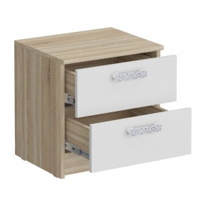 Тумба прикроватная 450 Салоу (2 ящика) в Камышлове - kamyshlov.mebel24.online | фото 2