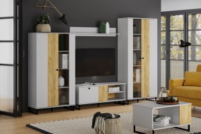 Тумба ТВА НМ 014.45 "Бруно" в Камышлове - kamyshlov.mebel24.online | фото 3