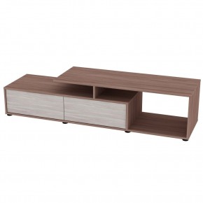 ТВ тумба TV25 (ЯШТ-ЯШС) в Камышлове - kamyshlov.mebel24.online | фото