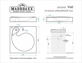 Умывальник над стиральной машиной (600*600х100) Лилия V60 (белый) с кронштейном без сифона (V60) в Камышлове - kamyshlov.mebel24.online | фото 2