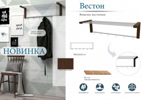 Вешалка-полка Вестон в Камышлове - kamyshlov.mebel24.online | фото 3