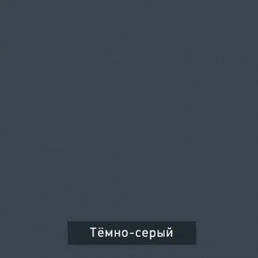 ВИНТЕР - 6.16.1 Шкаф-купе 1600 без зеркала в Камышлове - kamyshlov.mebel24.online | фото 6