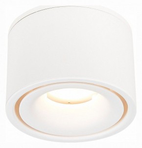Встраиваемый светильник на штанге ST-Luce ST652 ST652.548.12 в Камышлове - kamyshlov.mebel24.online | фото 3