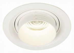 Встраиваемый светильник ST-Luce Zoom ST701.548.12 в Камышлове - kamyshlov.mebel24.online | фото 2