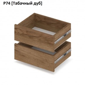 РОЛАНД Выдвижные ящики  Р76 в Камышлове - kamyshlov.mebel24.online | фото 10